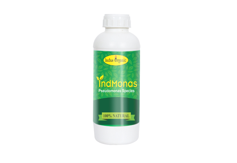 Indmonas Liquid