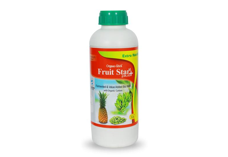 Fruit Star Plus