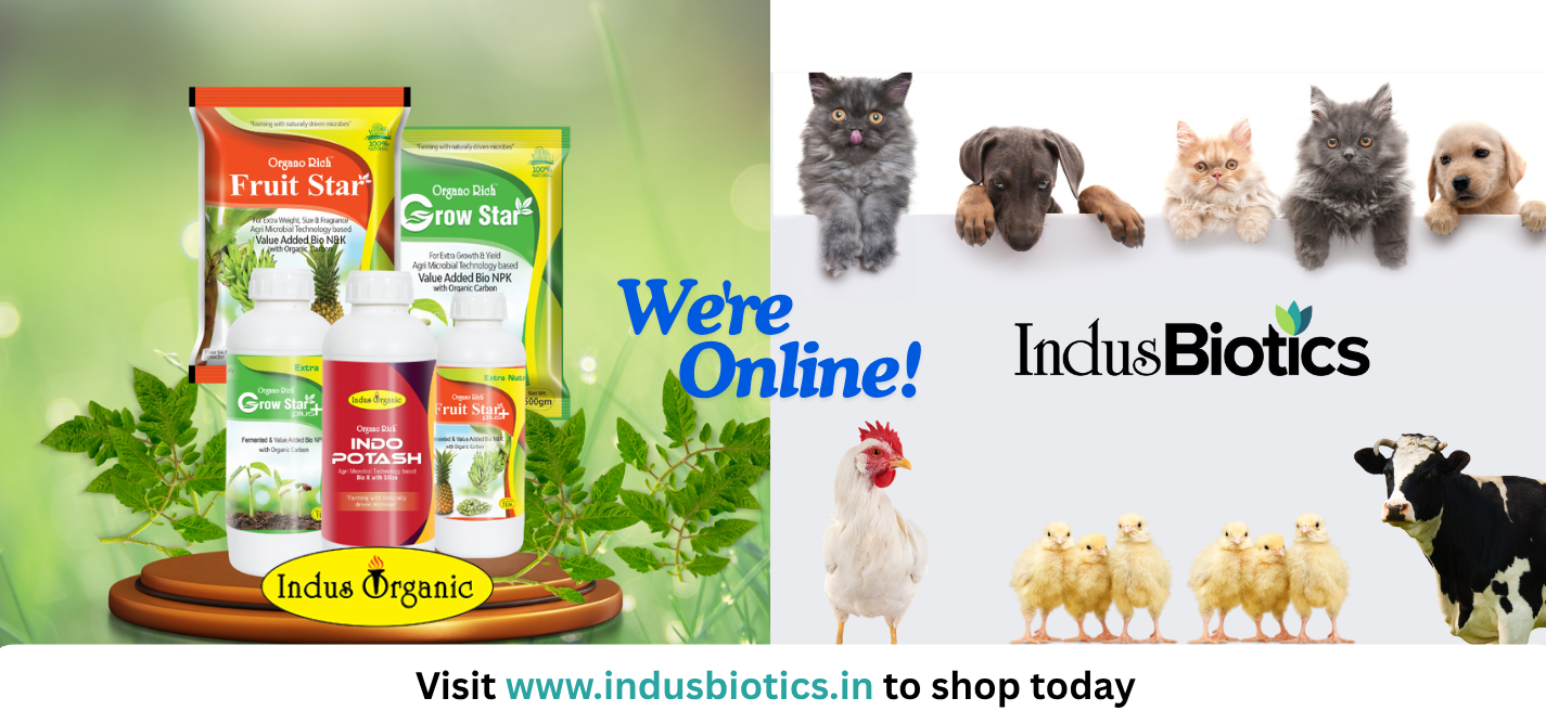 Indus Organic