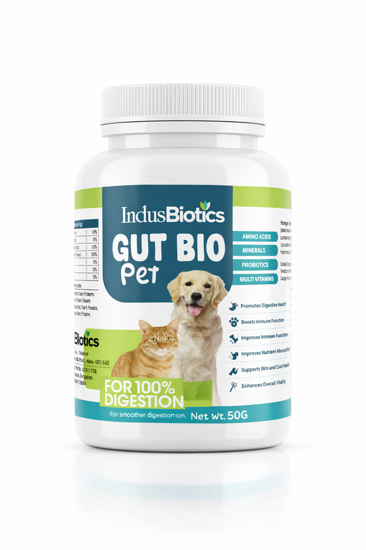 GUT BIO PETS