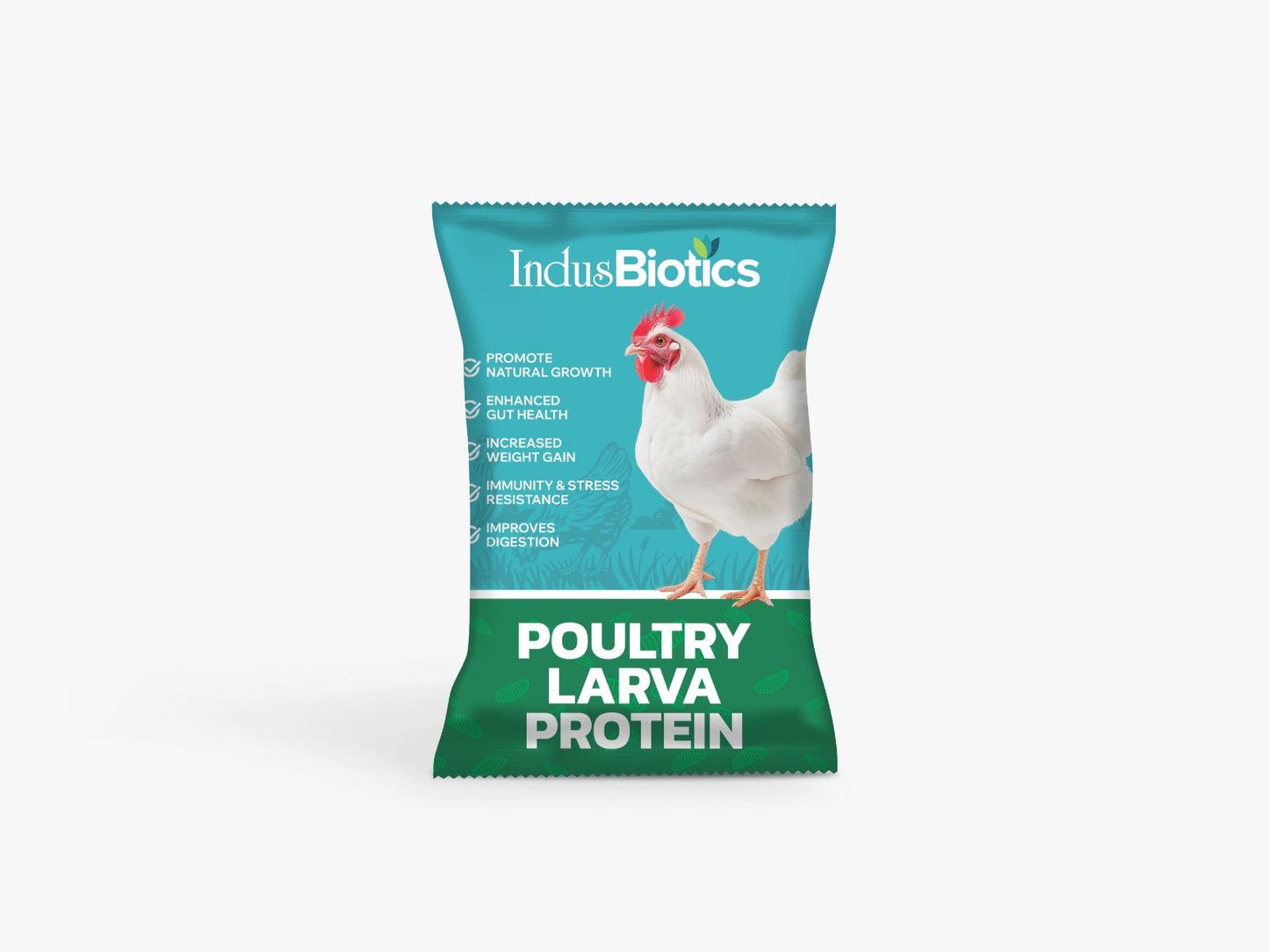 LARVA PROTEIN POULTRY