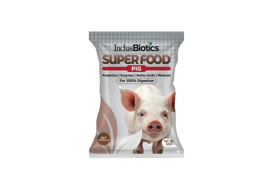 SUPER FOOD PIG